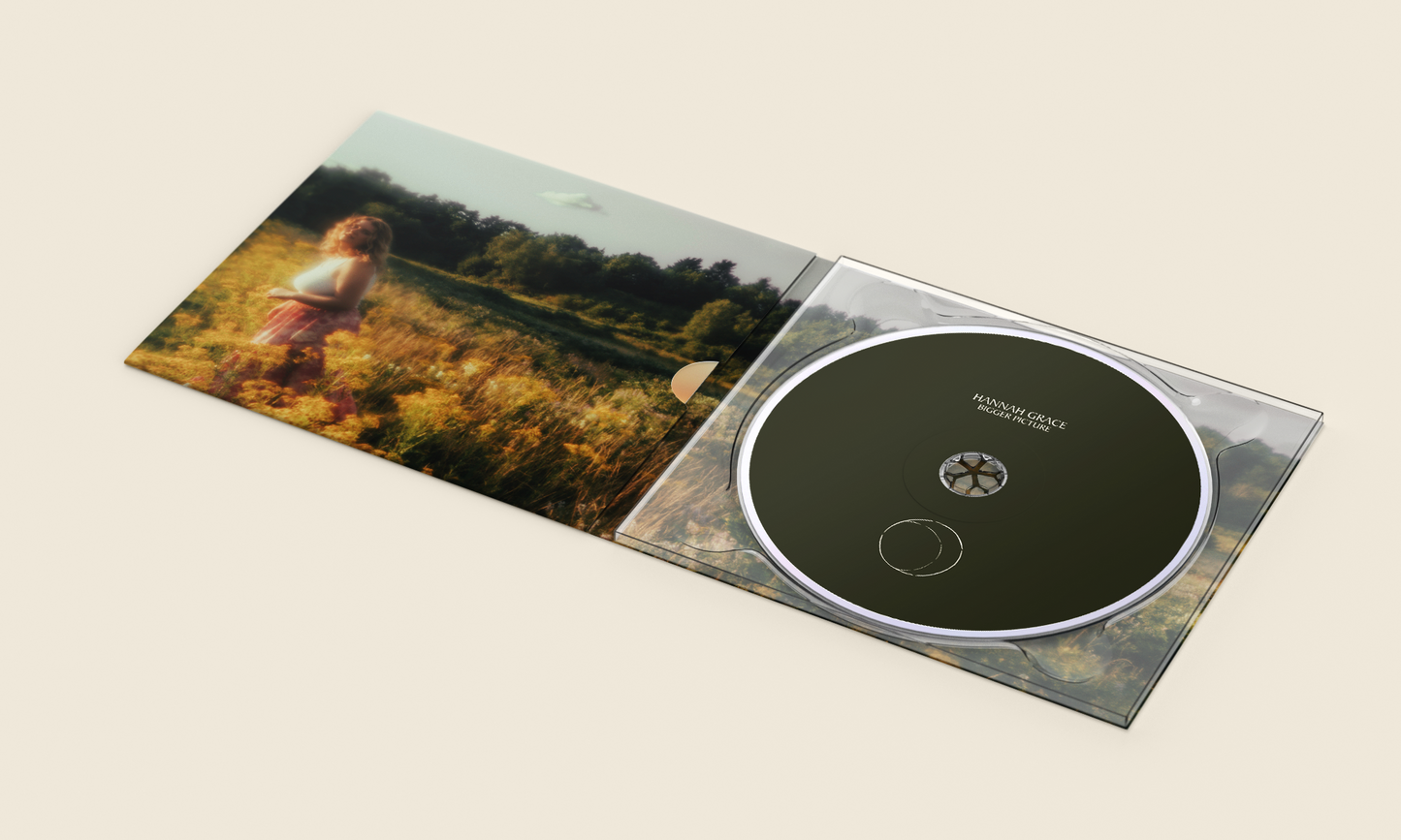Bigger Picture CD