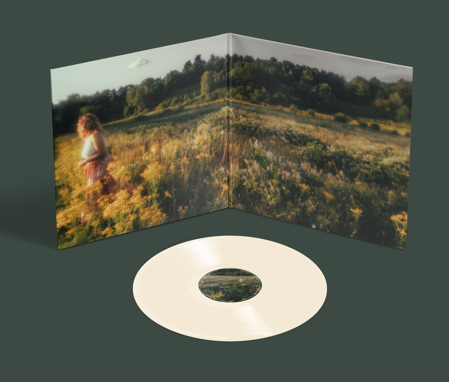 Bigger Picture Vinyl
