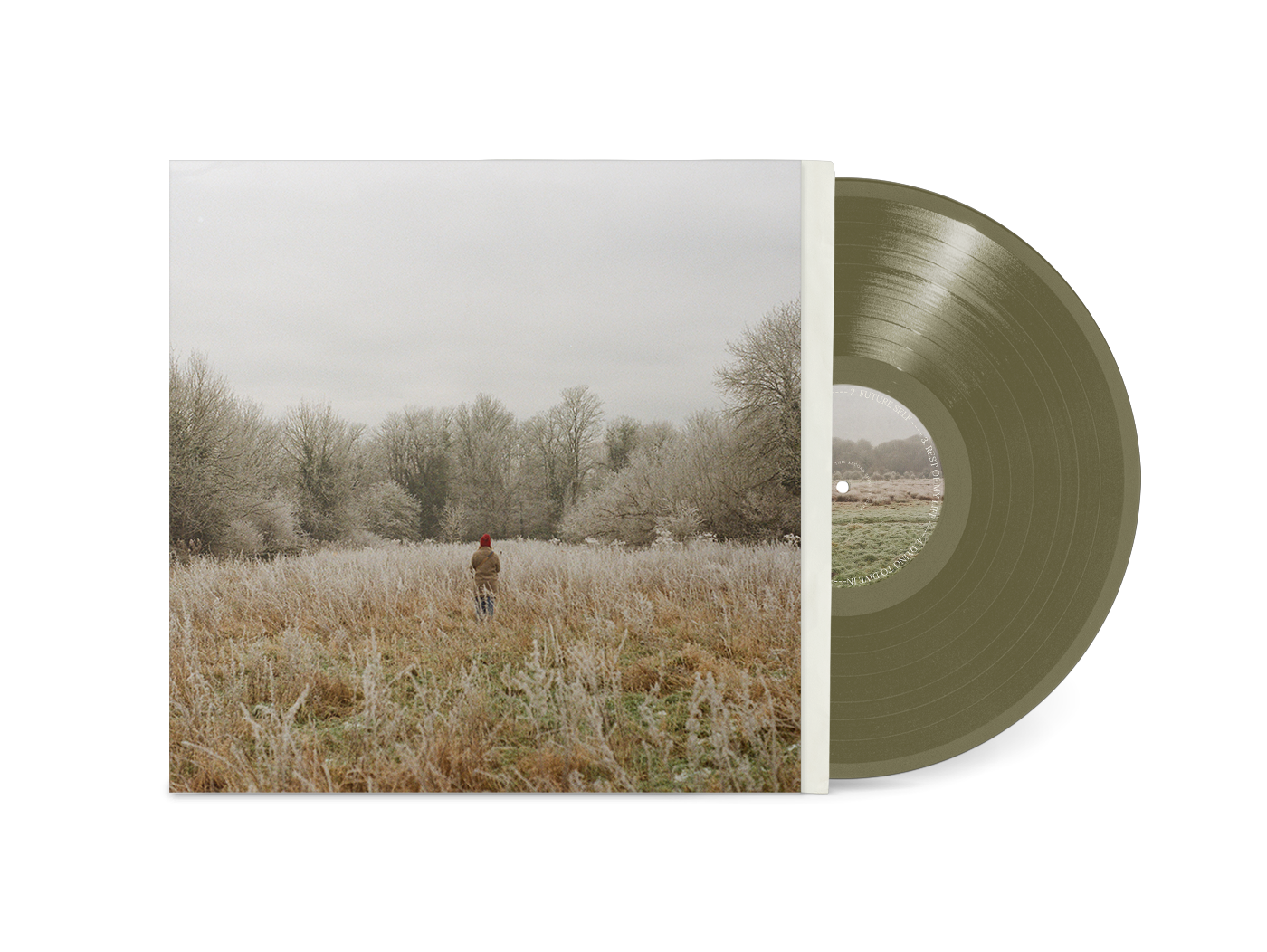 Bigger Picture Vinyl Collection