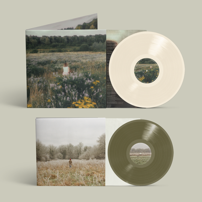 Bigger Picture Vinyl Collection