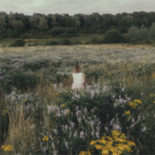 Bigger Picture (Digital Download)